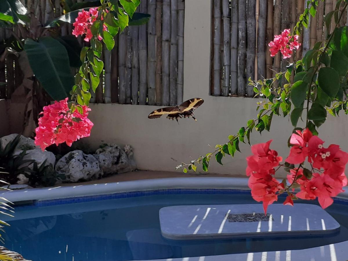 Ltu Garden Hotel Negril Exterior photo