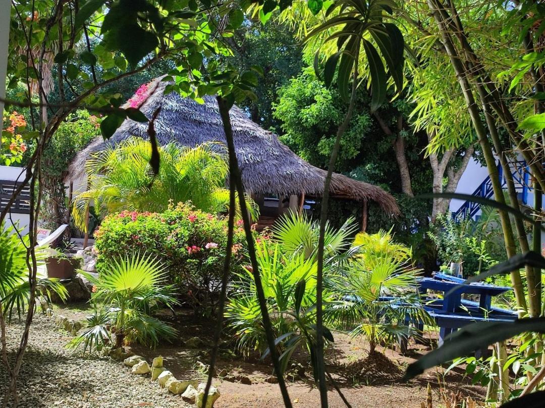 Ltu Garden Hotel Negril Exterior photo
